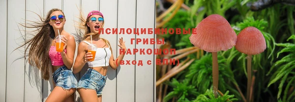 спиды Медногорск