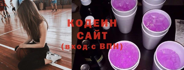 индика Мегион