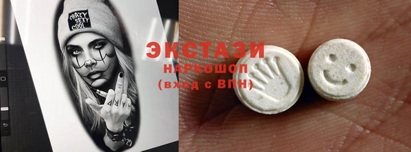 индика Мегион
