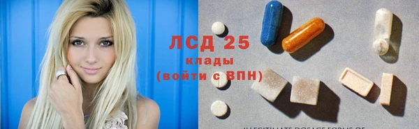 индика Мегион