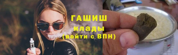 индика Мегион