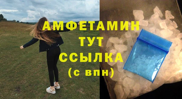 индика Мегион