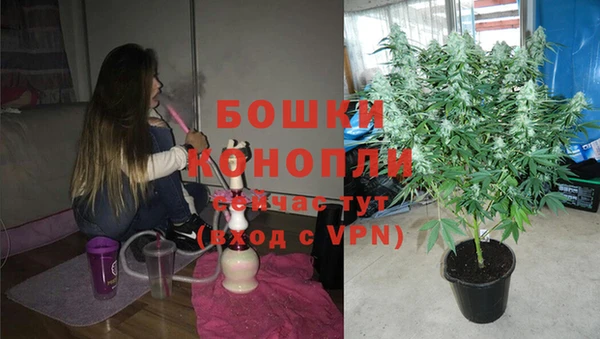 не бодяженный Сосновоборск