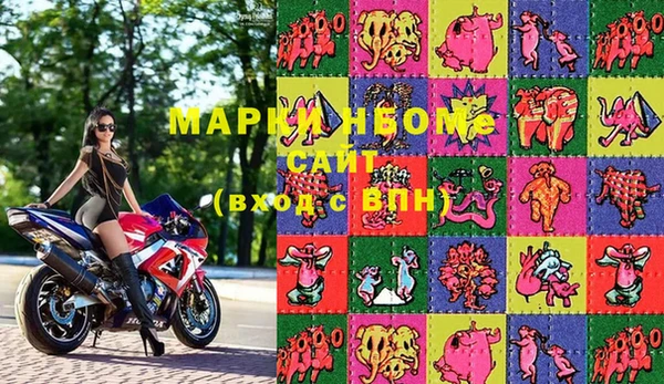 индика Мегион
