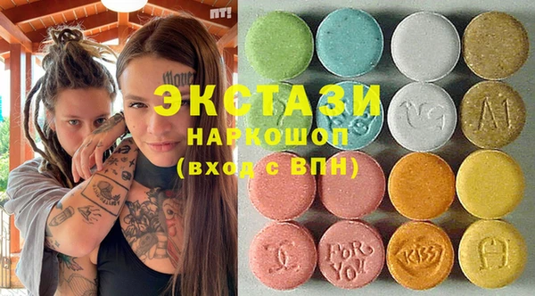 индика Мегион