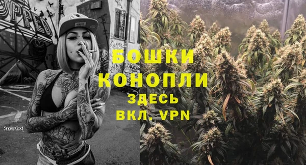 спиды Медногорск