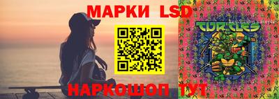 крисы Беслан