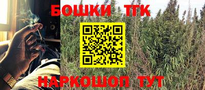 крисы Беслан