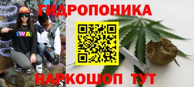 крисы Беслан