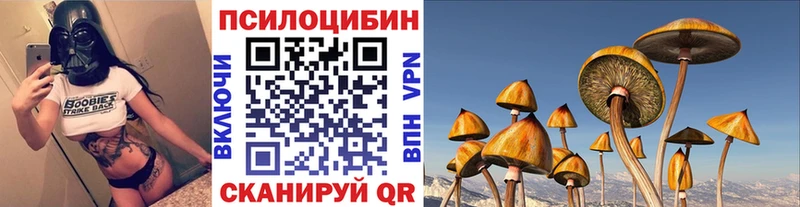 Псилоцибиновые грибы Psilocybe  MEGA зеркало  Донецк 
