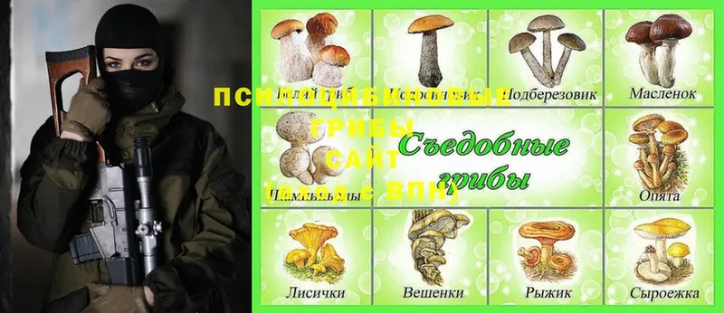 Псилоцибиновые грибы Magic Shrooms  Донецк 