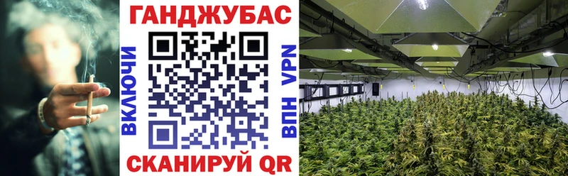 hydra как войти  Донецк  Канабис гибрид  купить  